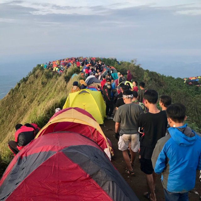 Java, Indonesia. 📷Jaclyn Yost
