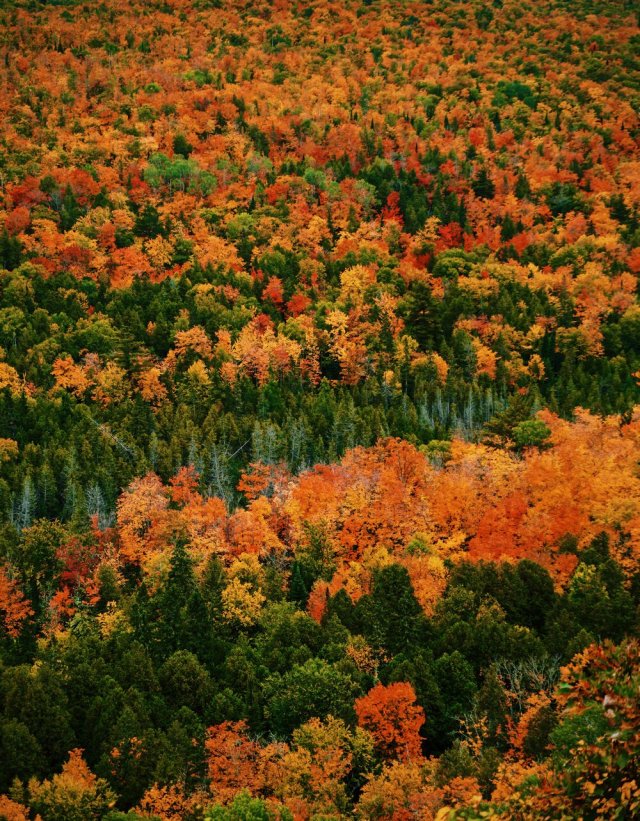 📷Jaclyn Yost. Copper Harbor, Upper Peninsula, Michigan.