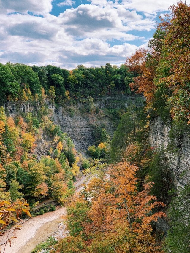 View of the Taughannock gorge from the Falls Overlook.&nbsp; Trumansburg, NY. 📷Olivia Baxter