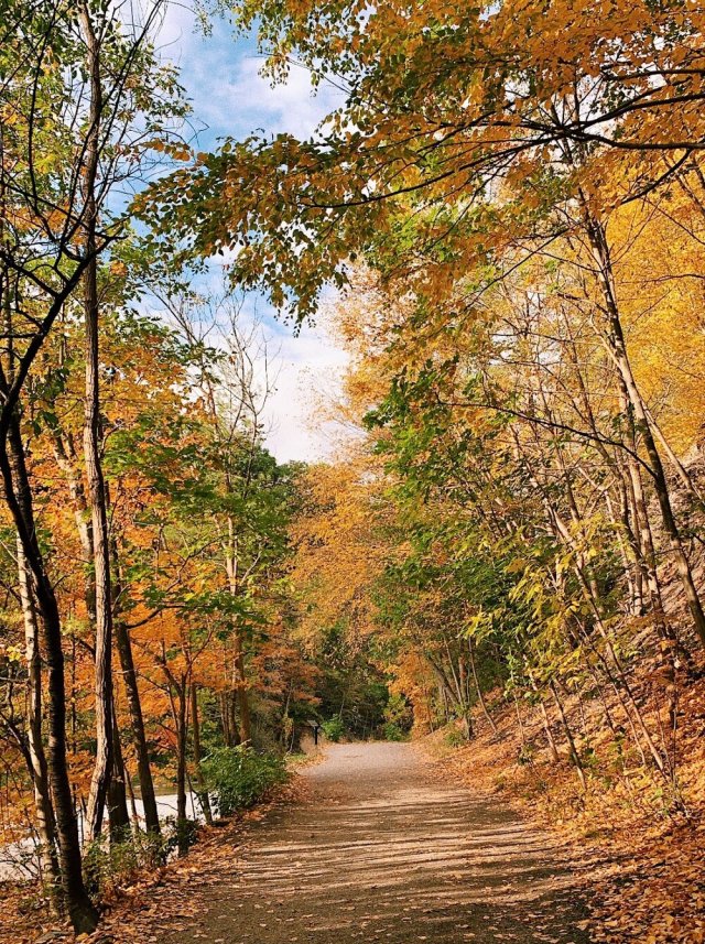 Taughannock State Park hiking trail. 📷Olivia Baxter