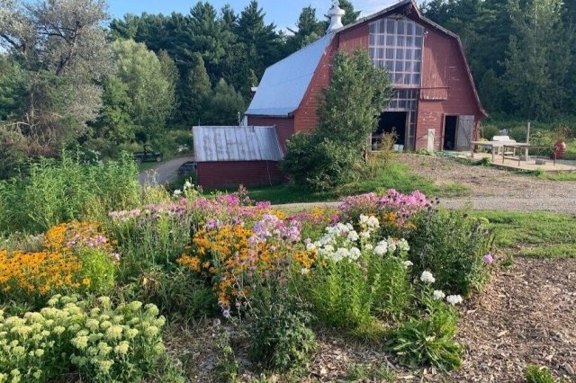 Source: New Leaf Organics