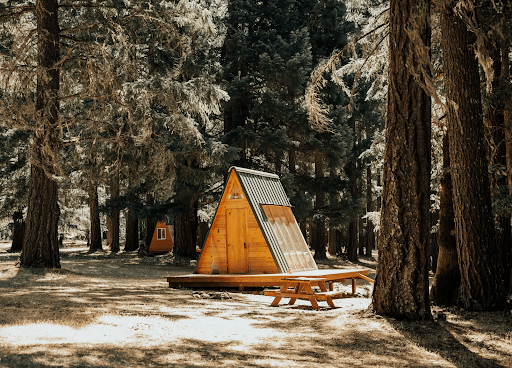 Source: Cedar Bloom - Hipcamp