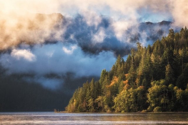 Source: National Park Foundation    Price Range  - $$   Explore this experience   Do you love to explore nature and wilderness while traveling? Well, you’re in luck. Washington is just full of beautiful National Parks, and Olympic National Park is no exception. Known for its diverse wilderness that covers nearly a million acres of glacier capped mountains, the Pacific coast and a temperate rainforest; the park protects a wide variety of species, thousands of years of human history and ahandful of vastly different ecosystems. With all this beauty, comes responsibility from visitors. Olympic has many   environmental initiatives   in place for visitors to follow, such as understanding the park infrastructure, taking any trash you have with you, and reducing carbon emissions as you go. There are many ways to   enjoy your time in the park  , especially for water lovers and boating enthusiasts. With rivers, lakes and coasts, there are options for visitors to go paddling, boating, tidepooling and fishing. Or   camp   overnight in the park and spot wildlife like elk, black bears and maybe even whales in the water! There is something for everyone to enjoy during your visit and the week long $35 pass is available at Olympic as well.    Mount Rainier   ﻿