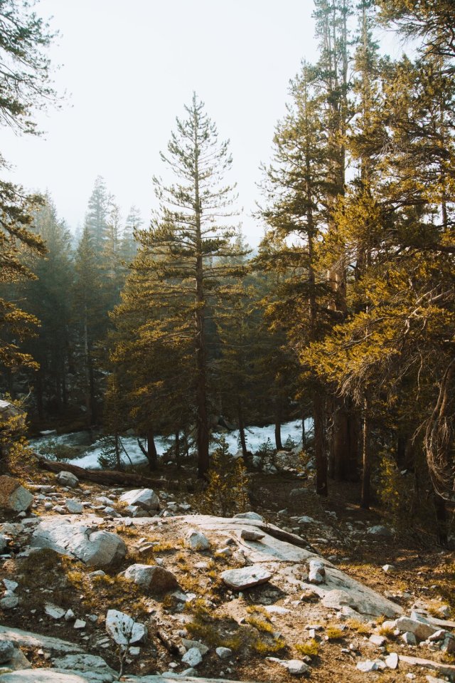 📷 Clarisse Meyer. Yosemite National Park.