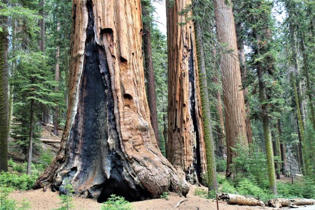 Source: National Parks Service