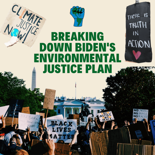 Photos &amp; Design: Jaclyn Yost