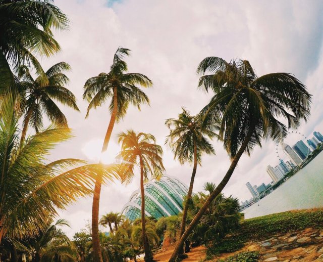 Gardens by the Bay, Singapore. 📷 @jaclynyost