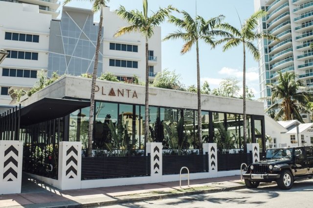 Source: Miami Food Pug