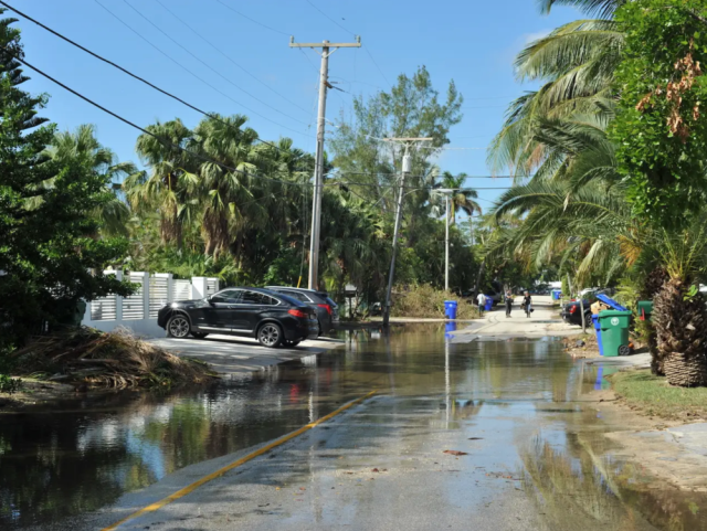 Sunny day flooding in Miami, FL. Source: Kevin Loria &amp; Business Insider