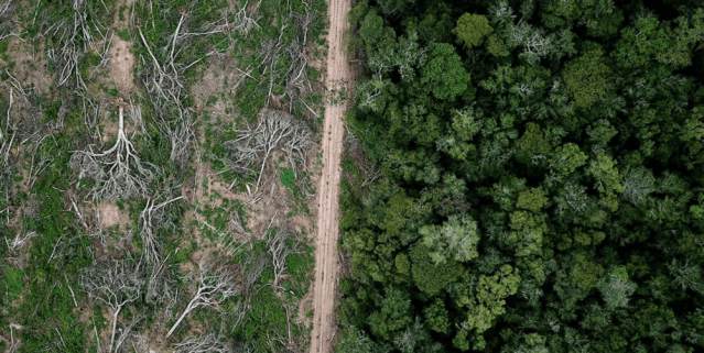 Deforestation in the Bolivian Amazon for soybeans. 📷 Rhett A. Butler