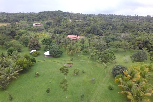 Source: Rock Farm Belize &amp; Belize Bird Rescue