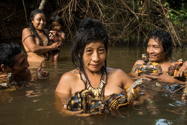 Awá women in Brazil bathe while washing their pet turtles.  📷  @   Charlie Hamilton James, National Geographic