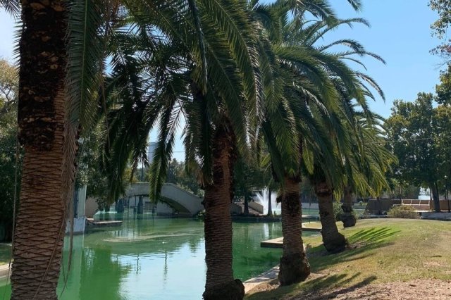 Source: All Bout Dat Tours