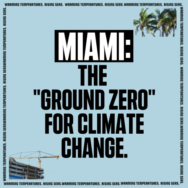 Designed by: Lucy McCulley