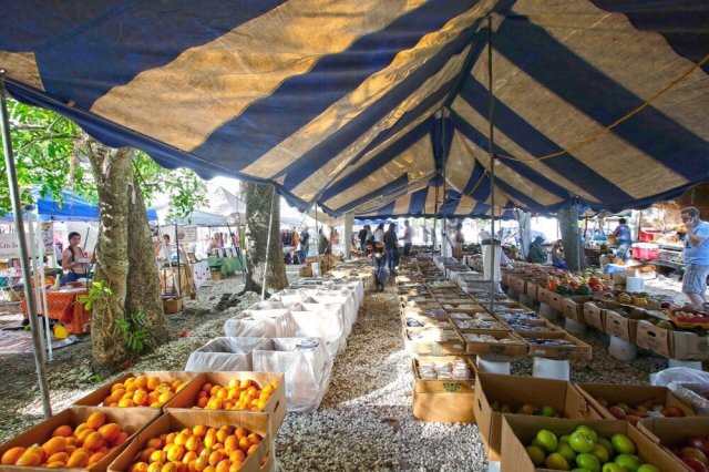 Source: Coconut Grove