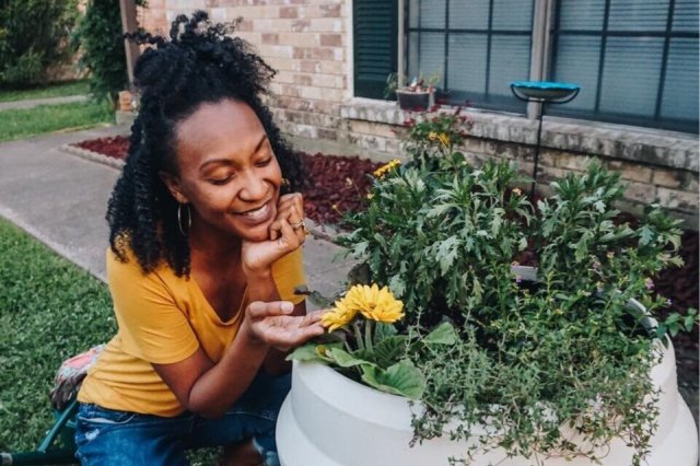 Source: Old World New