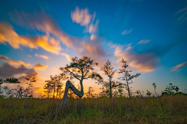 Source: Everglades National Park