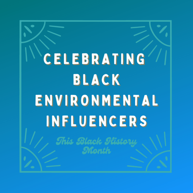 Designed by Lucy McCulley