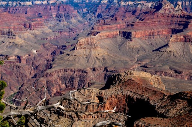 Grand Canyon. 📷 @7bbbailey