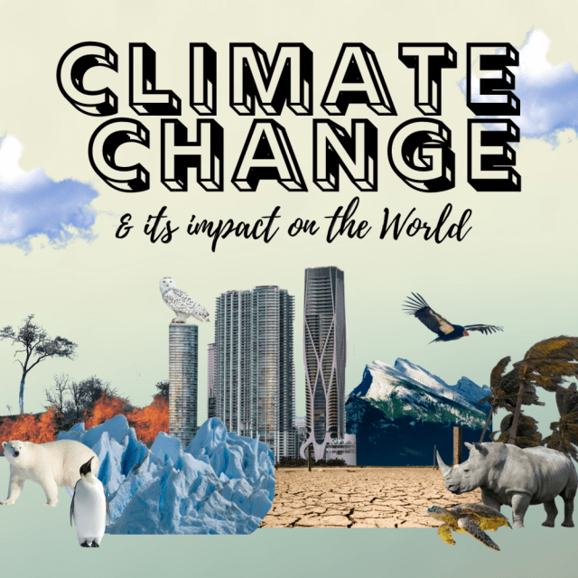 Designed by: Lucy McCulley