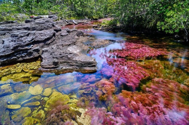 Source: Expotur-eco