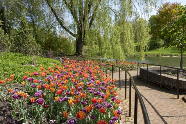 Source: Chicago Botanic Garden