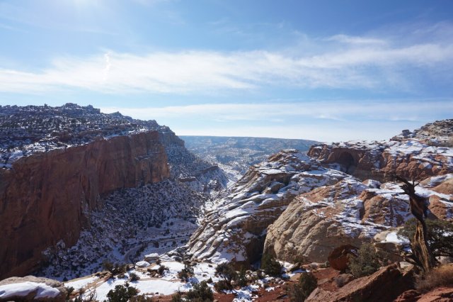 Capitol Reef. 📷 @jaclynyost