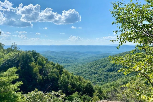 View from Overall Run Falls.  📷  @stephytrees