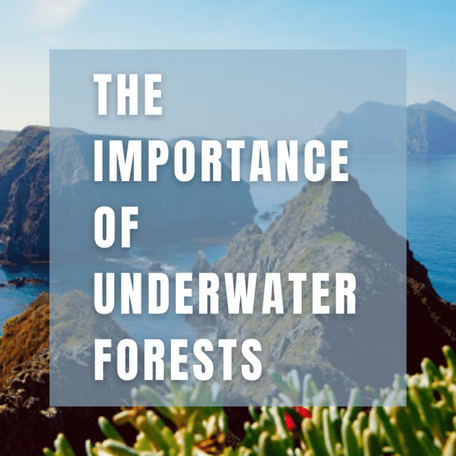 📷  @priyakarkare19