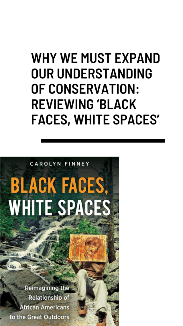 Black Faces, White Spaces.png