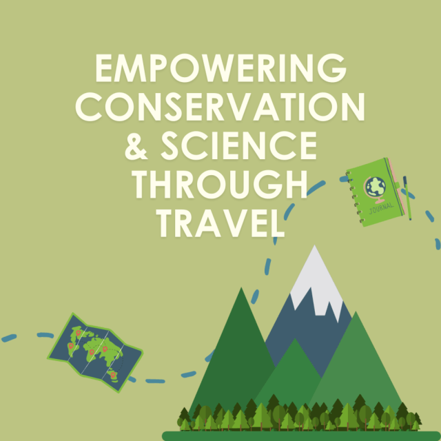 Designed by: Julia Cavallo