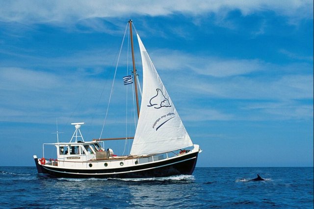 Source: P.Dendrinos/MOm