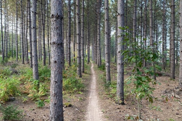 Wausau, WI. Source: Andrew Lynch