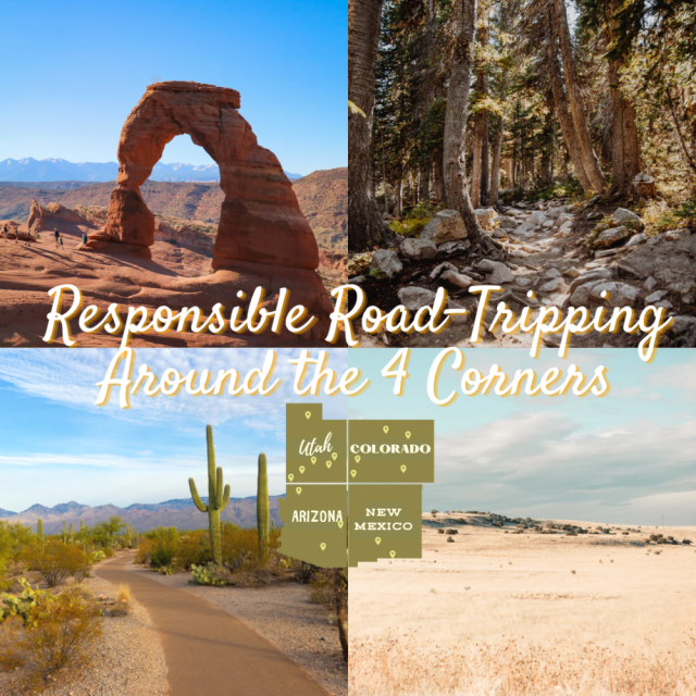 Designed by: Lucy McCulley &amp; Jaclyn Yost