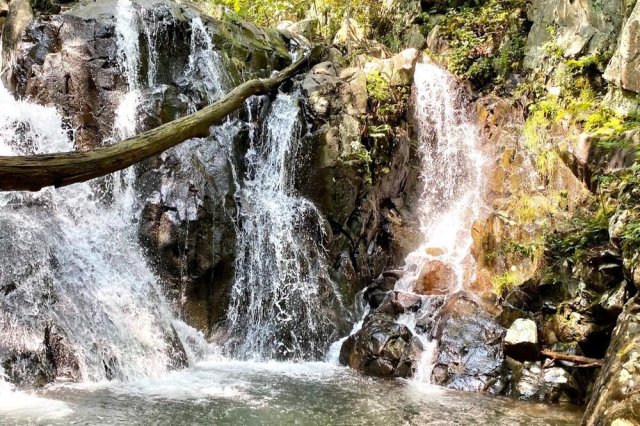 Rose River Falls.  📷  @stephytrees
