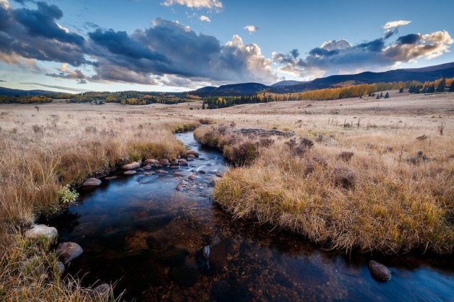 Source: Ted Turner Reserves