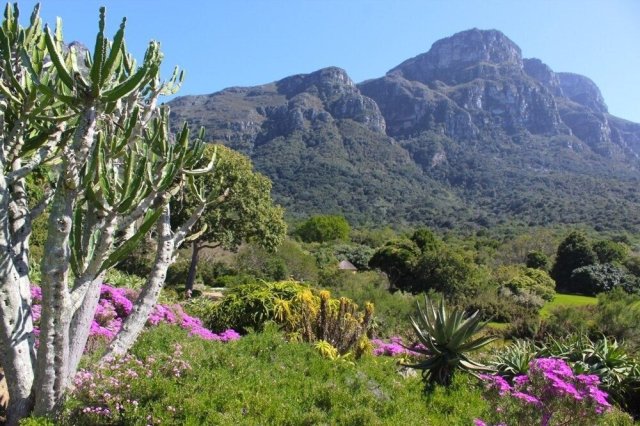 Kirstenbosch National Botanical Garden  Source: Pinterest