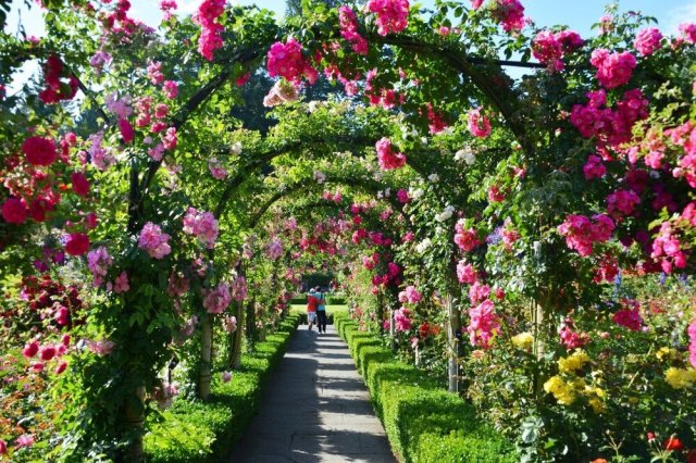 Butchart Gardens, Canada  Source: Twitter