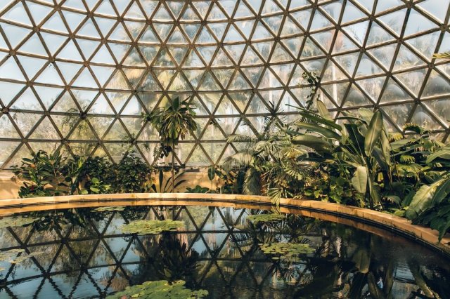 Brisbane Botanical Garden, Australia  Source: Haarkon