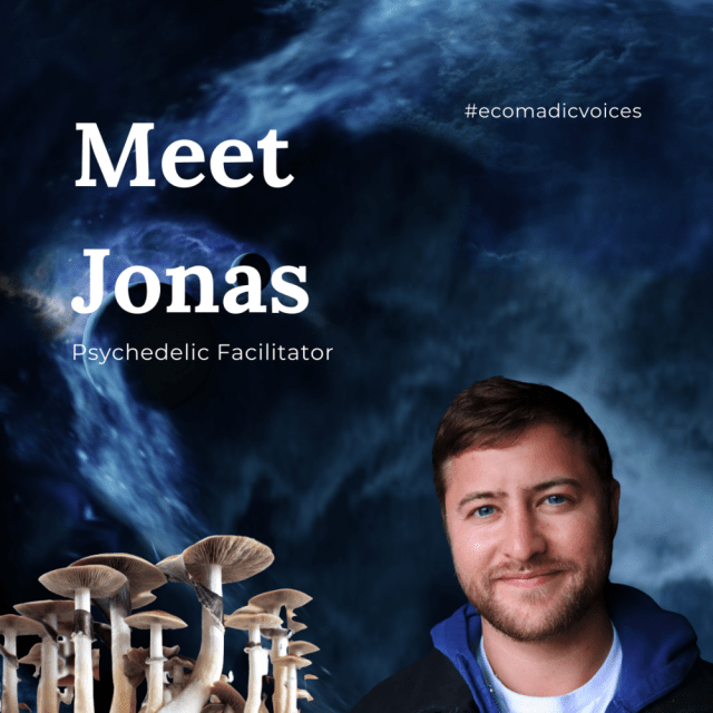 Designed by: Lucy McCulley