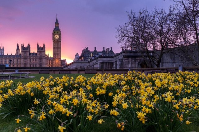 Westminster, London, United Kingdom 📷  @mingjuntan
