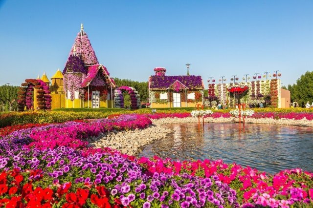 Miracle Garden, UAE  Source: Tomorrow’s World Today