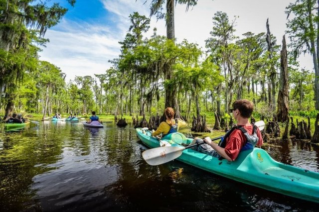 Source: Wild Louisiana Tours