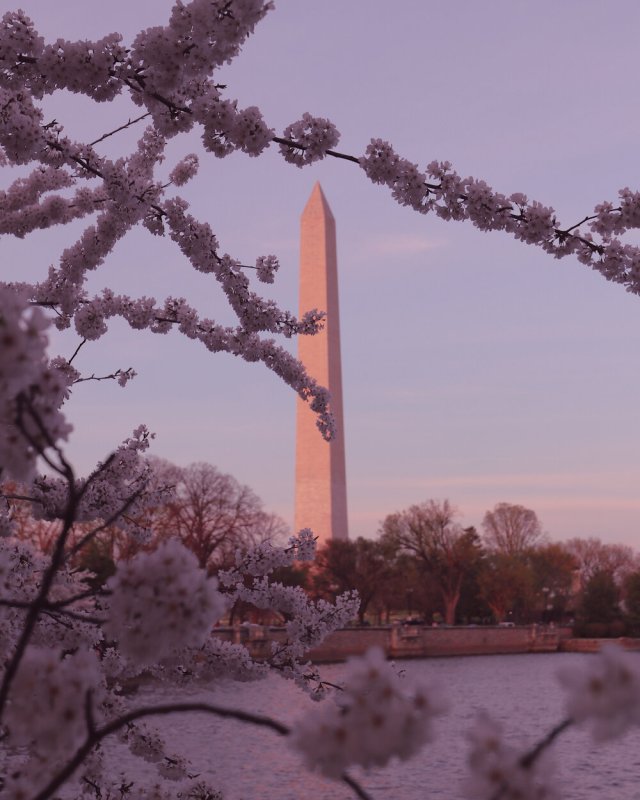 📷  Tim Kubasik @tkubs_