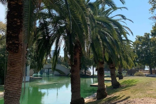 Source: All Bout Dat Tours