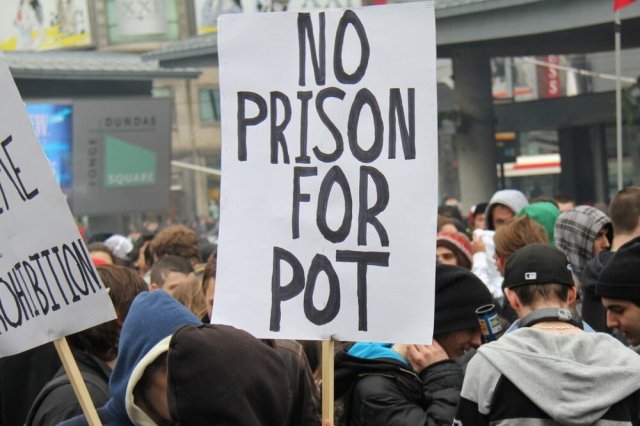 Source: The Cannabis Reporter