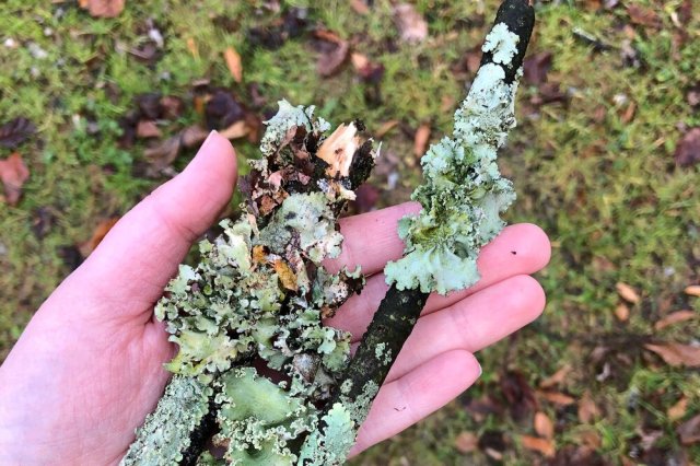 Source: Emily Jalinsky