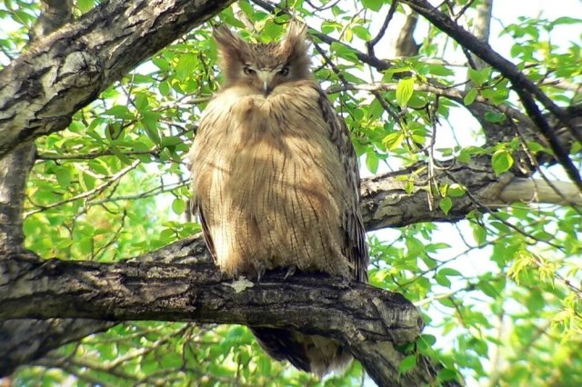 Source: Orion Magazine