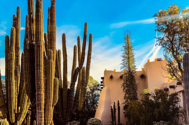 Source: @nichole1999