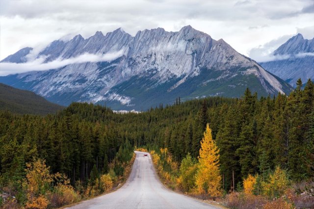Jasper National Park, Canada 📷  @brandtphotography
